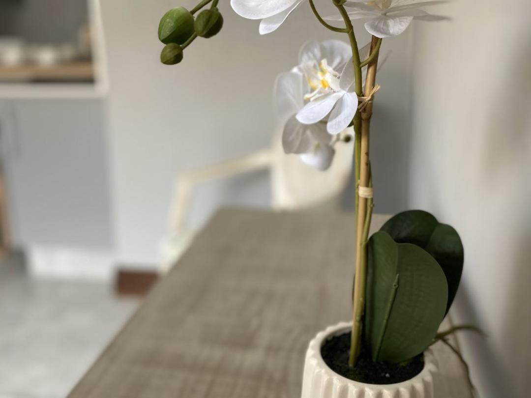 Staysure Guesthouse アルバートン エクステリア 写真